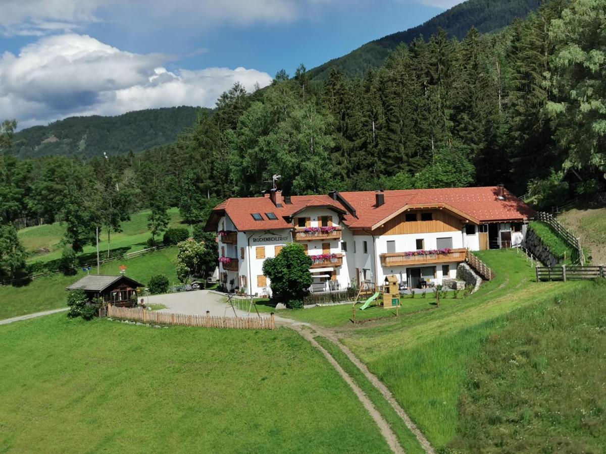 Rauchenbichlerhof Apartment Brunico Exterior photo